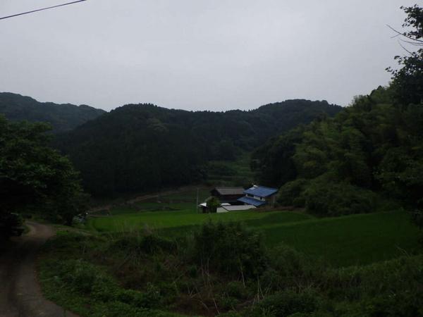 Vacant Land Plot in Genkai Town, Saga - Mountain Views - Thumbnail 3