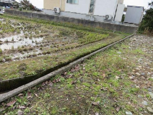 Ayako Oyabe City - Thumbnail 4