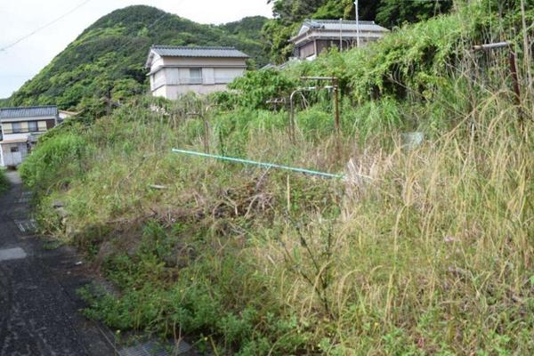 Vacant Land Property in Muroto Cape UNESCO Geopark Area - Thumbnail 2