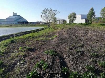 Large Vacant Land Plot in Numata Town, Hokkaido - 5,488 m² — Image 4, Numata, Hokkaido