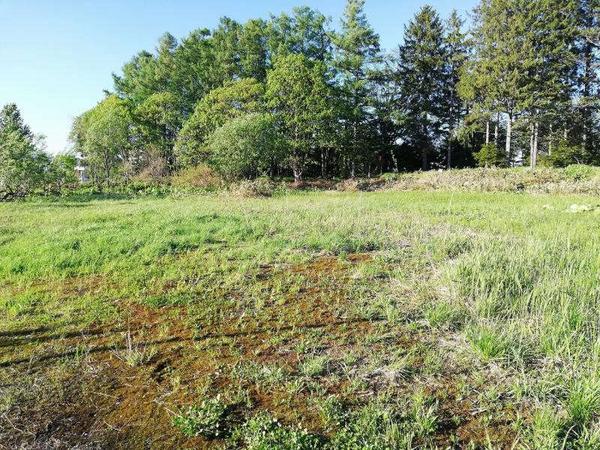 Large Vacant Land Plot in Numata Town, Hokkaido - 5,488 m² - Thumbnail 3