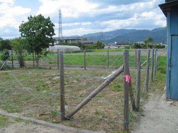 Modern 4LDK Family Home for Sale in Matsumoto, Nagano - Thumbnail 2