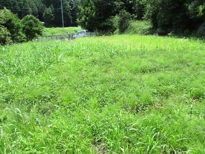 No.214 — Image 2, Taku, Saga