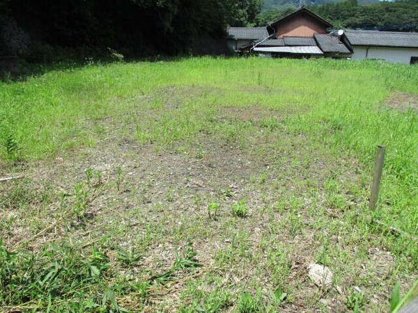 No.214 - Thumbnail 2