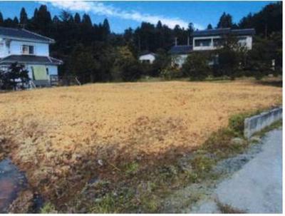 27-ground 022 again — Image 1, Minamisoma, Fukushima