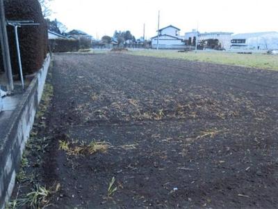 27-ground 020 again — Image 1, Minamisoma, Fukushima