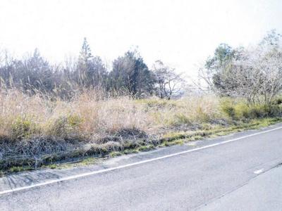 26-ground 004 again — Image 1, Minamisoma, Fukushima