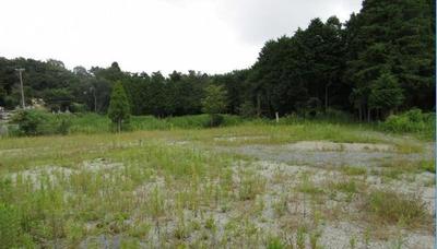 29-Earth 103 — Image 1, Minamisoma, Fukushima