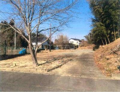 29-Earth 105 — Image 1, Minamisoma, Fukushima