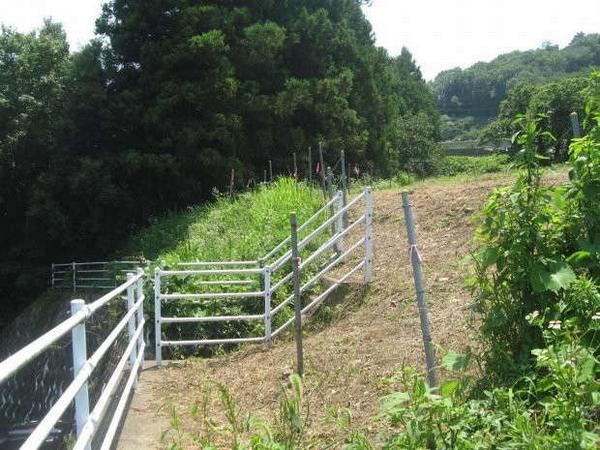 2019 3LDK Detached House for Sale in Edogawa, Tokyo - Thumbnail 2