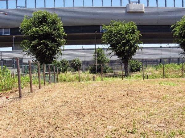 New 2024 3SLDK House in Minato, Tokyo with 120 sqm Floor Area - Thumbnail 3