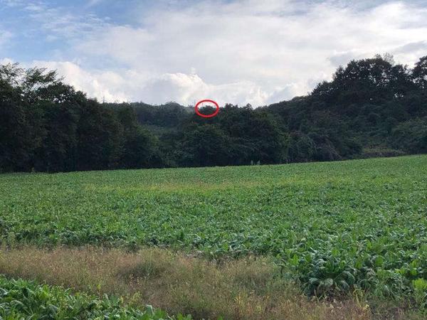 Land for Sale in Mori Town, Hokkaido - Image 1