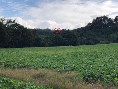 Land for Sale in Mori Town, Hokkaido — Image 1, Morimachi, Hokkaido
