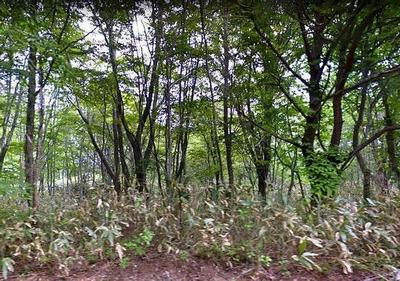 It is recommended for those who like camping, a villa for sale where my mother bought it and has not used it for many years. — Image 1, Tenei, Fukushima