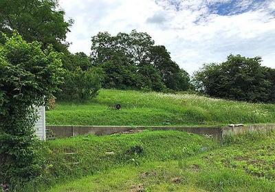 It is used for a warm land peculiar to the Setouchi region and a kitchen garden. — Image 1, Satosho, Okayama