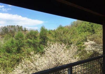 Randy Karuizawa golf club area, location overlooking Mt. Asama, villa with many cherry trees — Image 3, Okaya, Nagano