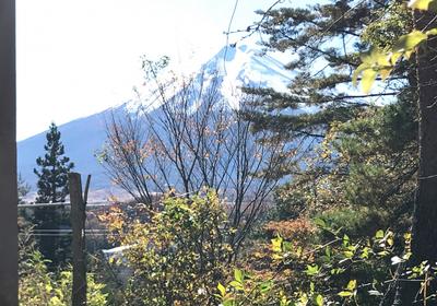 Mount Fuji view land in Oshino Village - 289sqm — Image 1, Oshino, Yamanashi