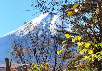 Mount Fuji view land in Oshino Village - 289sqm — Image 1, Oshino, Yamanashi