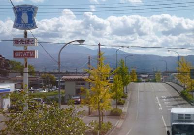 From the garden and windows you can see Tsuruoka city's fireworks display and the majestic view of Mt. Gassan. — Image 4, Nishikawa, Yamagata