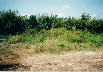 It is land on high ground in Matsushima where houses can be built even in the urbanization control area, but it does not matter if it is a little cheaper. — Image 1, Osato, Miyagi