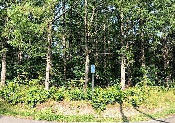 Resort Land for Sale in Hakodate Area with Highway Access - Thumbnail 4