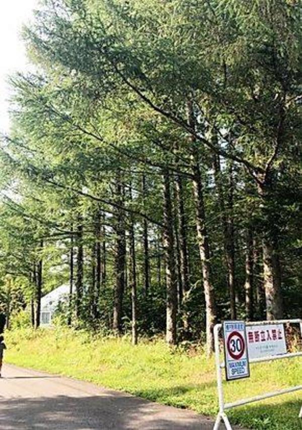 Resort Land for Sale in Hakodate Area with Highway Access - Thumbnail 3