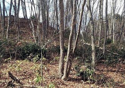 Mountain Villa Land Plot in Iizuna Town, Nagano - 691m² Forest Land — Image 1, Iizuna, Nagano