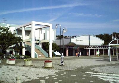 House with Japanese Garden for Sale in Niigata — Image 2, Gosen, Niigata