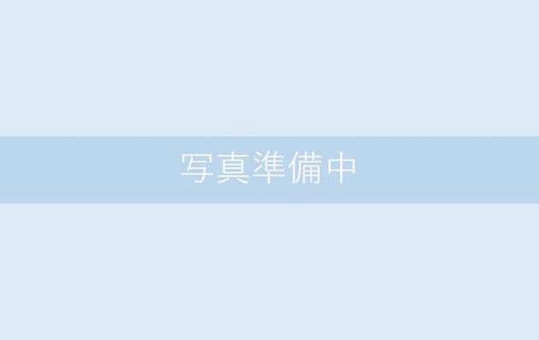 Woodland Plot for Sale in Premium Nasushiobara Resort Area - Thumbnail 2