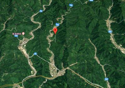 We sell 20,000 tsubo of Harima mountains, we have cultivated cypress and cedar — Image 4, Kasai, Hyogo