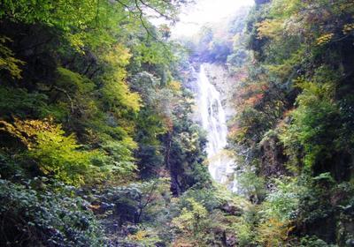 How about cultivating grapes and raising bees in a one-storied old private house, on the mountain of 1,000 tsubo in the back? — Image 4, Kibichuo, Okayama