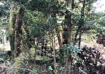 A villa area where you can luxuriately enjoy the changes of the four seasons and feel nostalgic for the grandeur of nature — Image 2, Aoi, Shizuoka