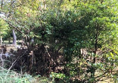 A villa area where you can luxuriately enjoy the changes of the four seasons and feel nostalgic for the grandeur of nature — Image 3, Aoi, Shizuoka