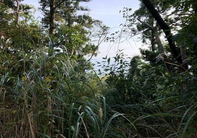 A villa area where you can luxuriately enjoy the changes of the four seasons and feel nostalgic for the grandeur of nature — Image 4, Aoi, Shizuoka