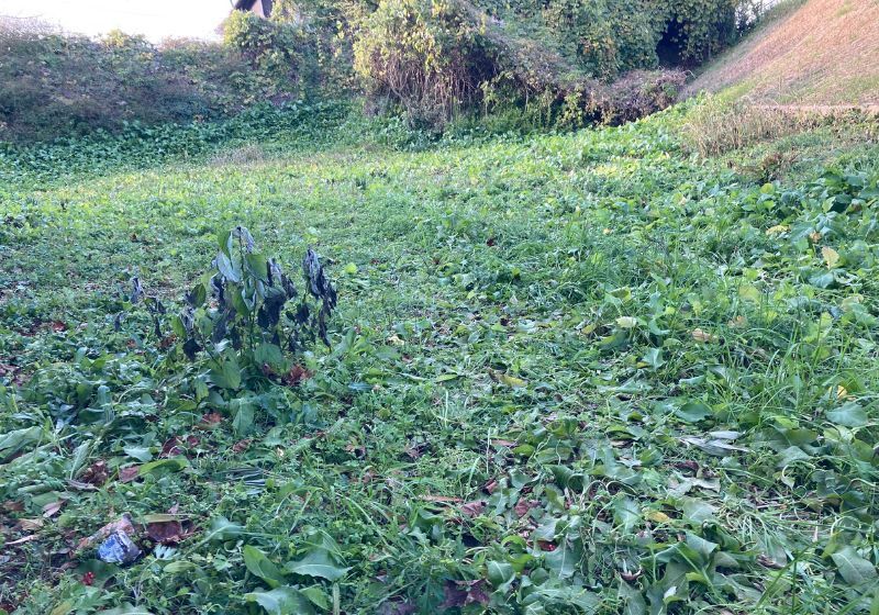 182.82 sqm Land for Sale in Iizuka, Fukuoka - Thumbnail 2