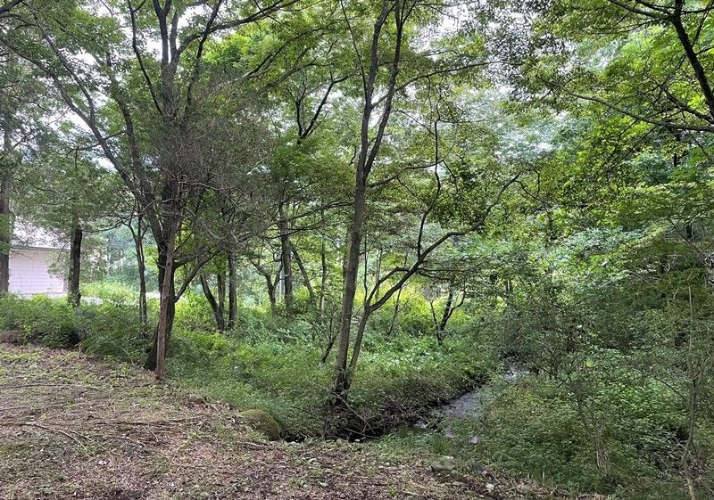 200 sqm Land with Stream in Nasu, Tochigi - 800,000 yen - Thumbnail 2
