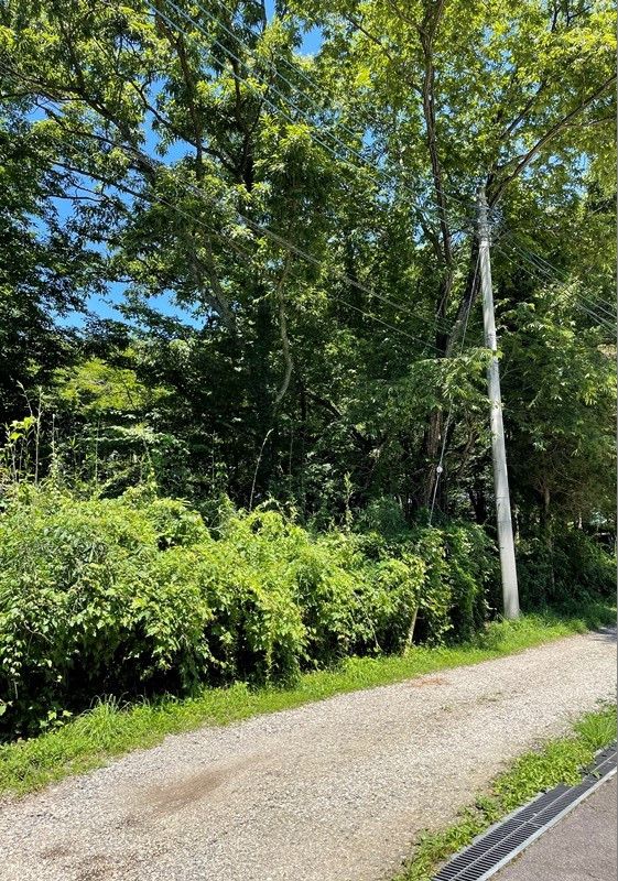 200 sqm Land with Stream in Nasu, Tochigi - 800,000 yen - Thumbnail 3