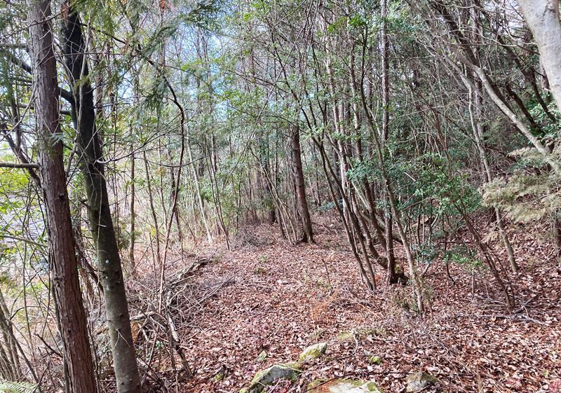 Land for Sale in Takarazuka, Hyogo - 501 sqm Woodland Plot - Thumbnail 3