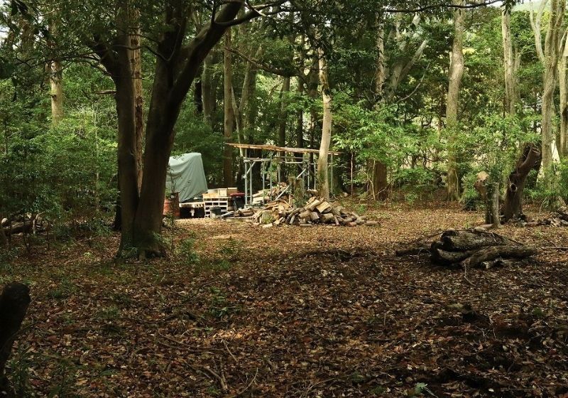3,515 sqm Forest Land for Sale in Minamiizu, Shizuoka - Thumbnail 3