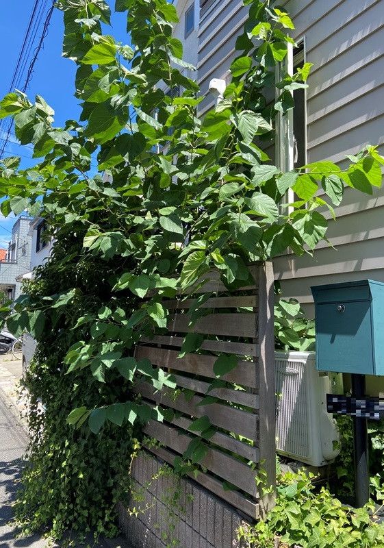 84sqm House for Sale Near Chigasaki Beach, Kanagawa - Thumbnail 2