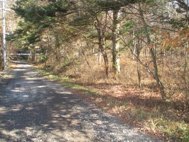 Large Commercial Land for Sale in Karuizawa, Nagano - 5,347 sqm - Thumbnail 2