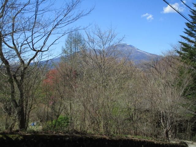 Land for Sale in Karuizawa, Nagano - 780 sqm - Thumbnail 4
