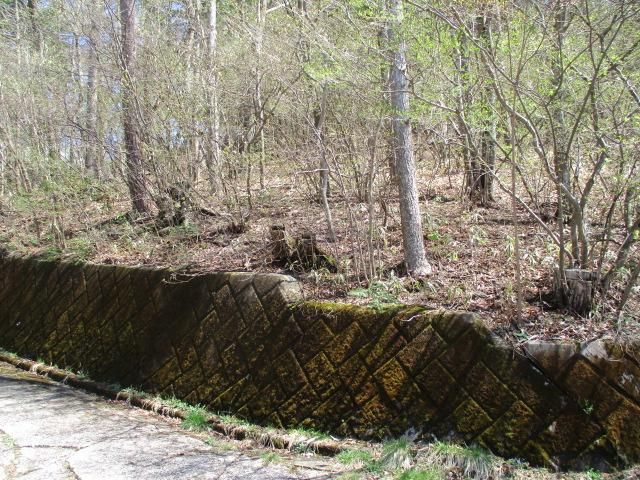 Land for Sale in Karuizawa, Nagano - 780 sqm - Thumbnail 3