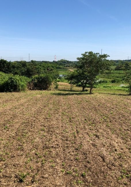 6,636 sqm Agricultural Land for Sale in Higashiura, Aichi - Thumbnail 2