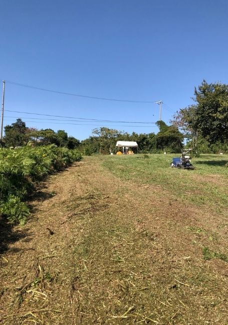 6,636 sqm Agricultural Land for Sale in Higashiura, Aichi - Thumbnail 3