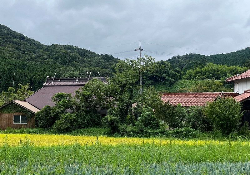 Cultural Heritage Thatched Kominka for Sale in Hagi, Yamaguchi - Thumbnail 3