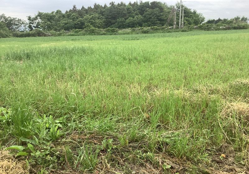1,100 Tsubo Farmland for Sale in Maebashi, Gunma - Thumbnail 4