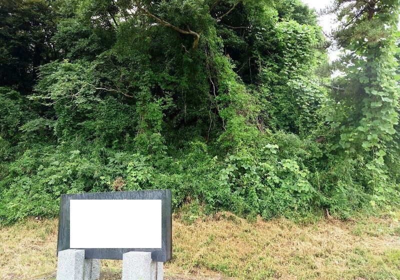 Forest Land for Sale in Inashiki City, Ibaraki - 468 sqm - Thumbnail 2