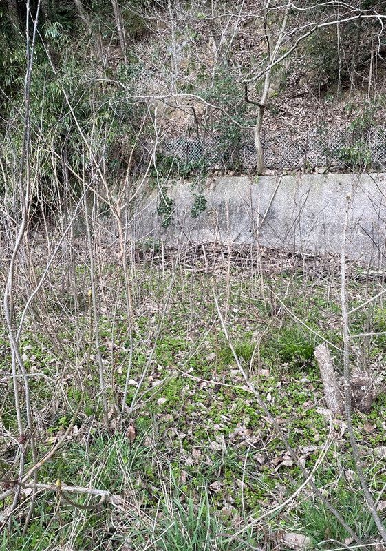 Land for Sale Near Izumo Taisha with Garage and Forest - Thumbnail 4