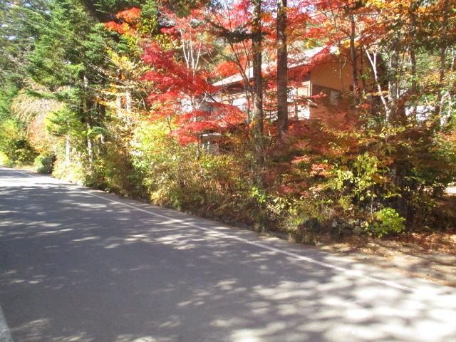 Land for Sale in Karuizawa, Nagano - 751.46 sqm - Thumbnail 4